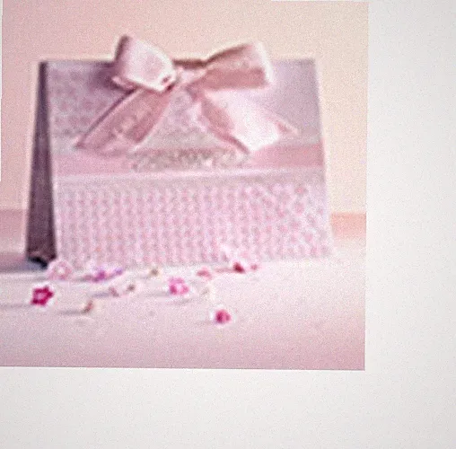 DIOR VIP Holiday perfume Parfum + Flower Bag Birthday teen wedding gift set 🌈 `